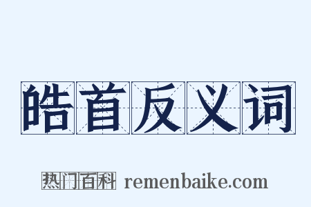 皓首反义词是什么意思的图片